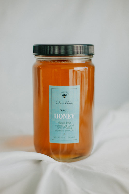 3 lbs Sage Honey