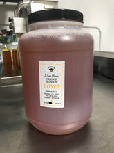 Orange Blossom Honey